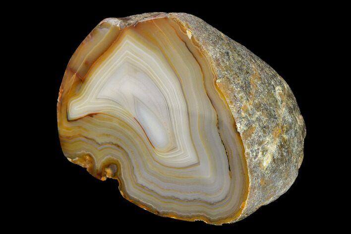 Cut & Polished Brazilian Agate With Colorful Banding #146274